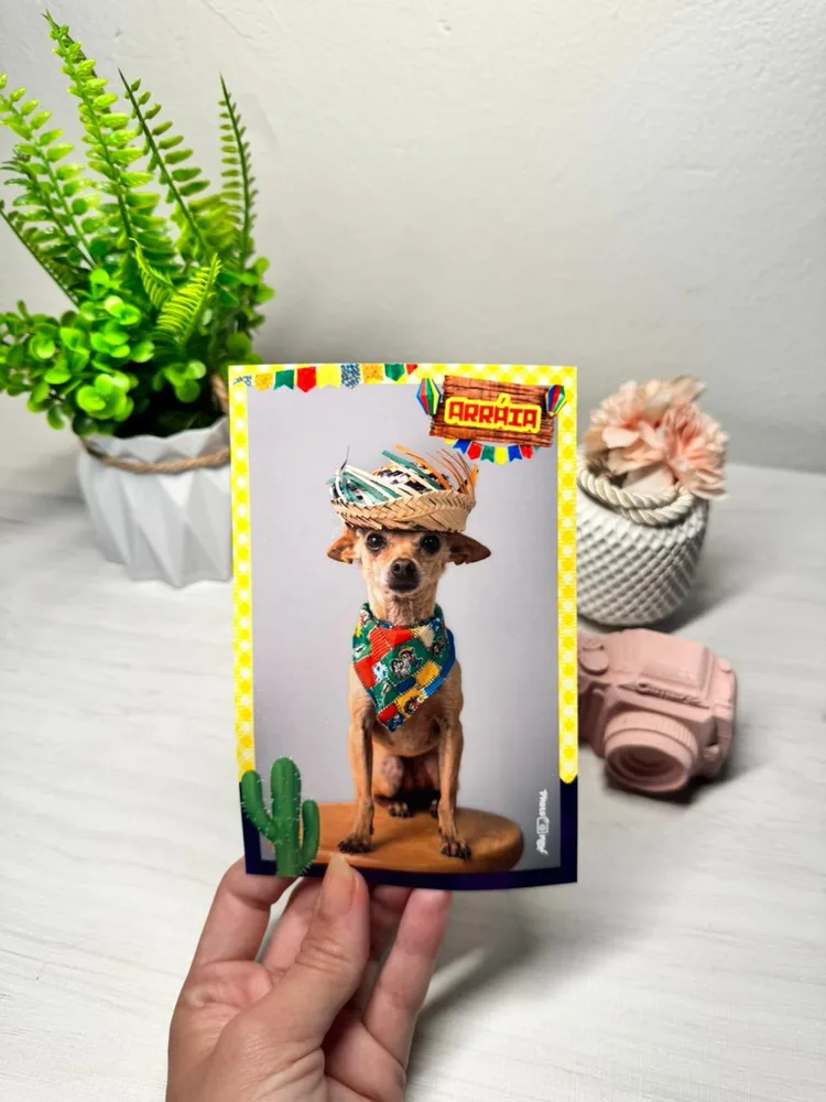 Foto impressa de um cachorro fantasiado de festa junina